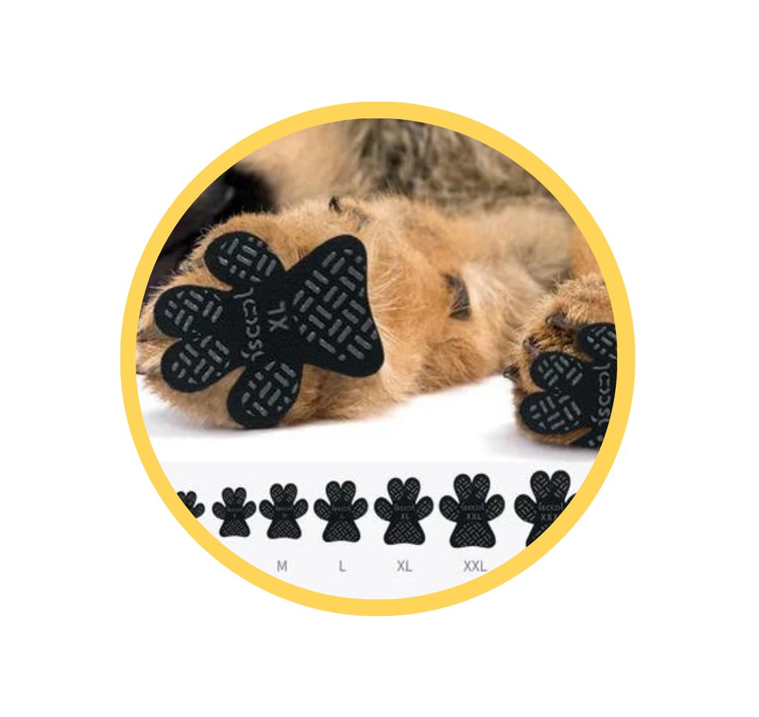 Close up of bottom of paw 4pcs/set Disposable Non - Slip Protection for Dogs of Any Size - The Squeaky Toy