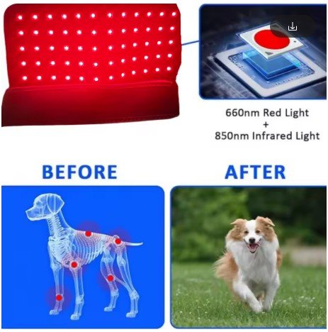 60 LEDs Red&Infrared Light Therapy Belt 850nm 660nm Healing Heat Pad Full Body - The Squeaky Toy