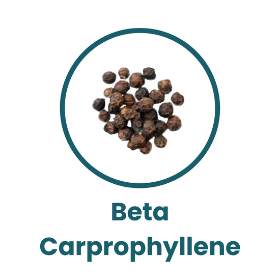 icon for Beta Carprophyllene