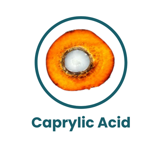 icon for Caprylic Acid