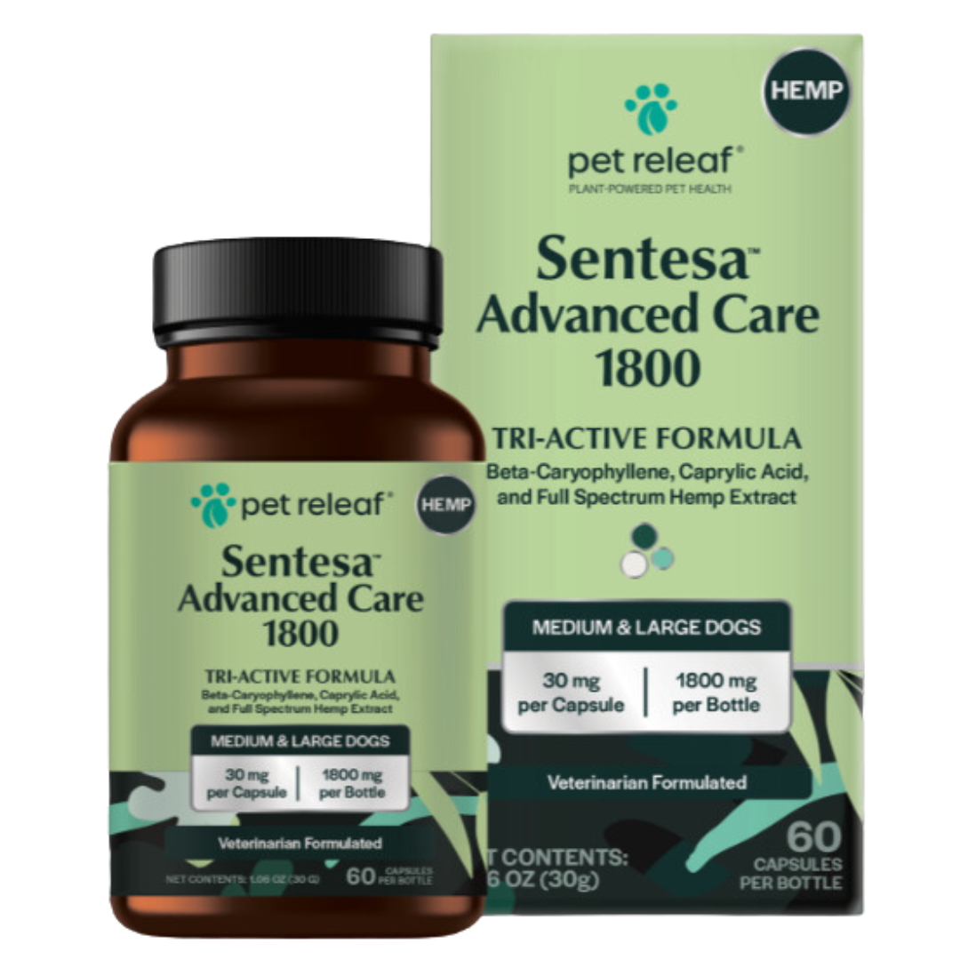Bottle of Sentesa Advanced Care 1800 Tri-Active Formula with the box which shows 30mg of CBD per Casule and 1800mg per Bottle.