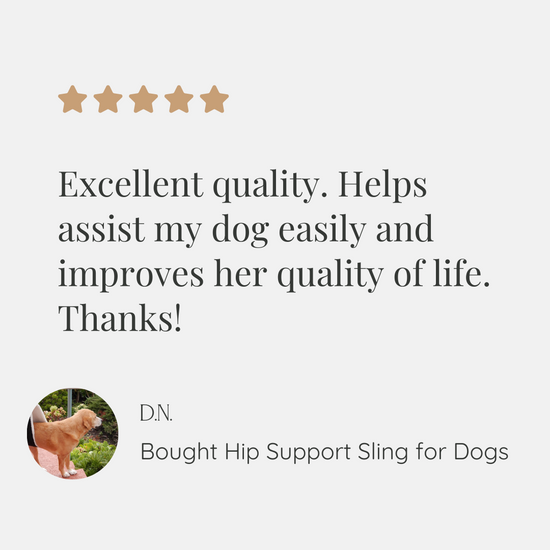 Testimonial for hip Support Sling for Dogs