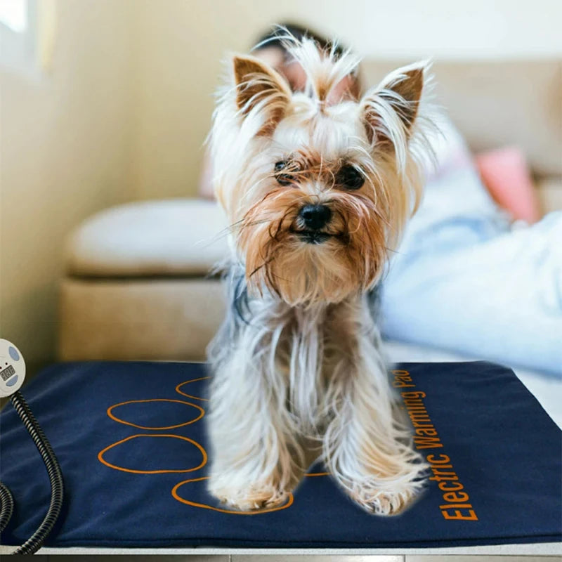 Waterproof Electric Pet Heating Pad with Adjustable Temperature