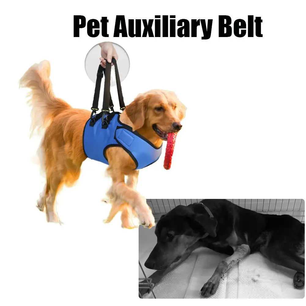 Pet Auxiliary Belt Lift Support Harness Disabled Dog Walking Belt Dog Front Legs Disability Auxiliary Belt