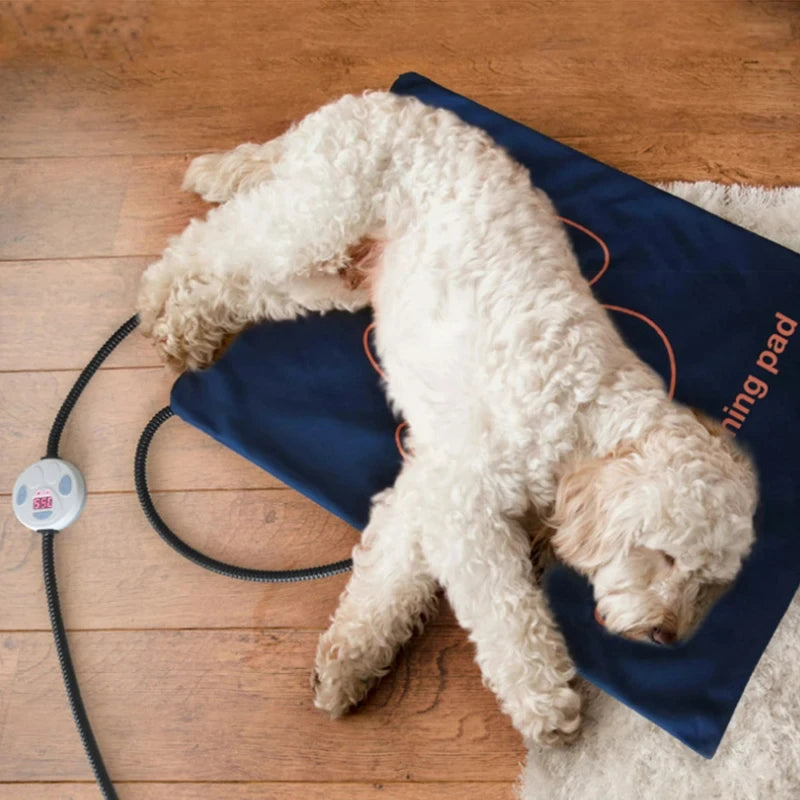 Waterproof Electric Pet Heating Pad with Adjustable Temperature
