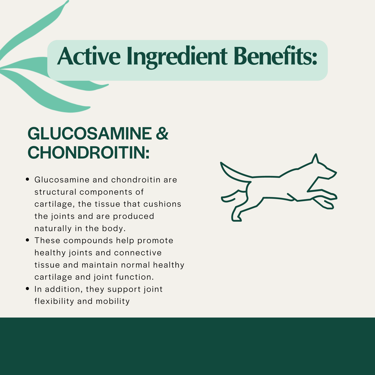 Ingredients Graphic Hip & Joint Releaf for Aging Dogs - Organic Hemp Chews FAMILY SIZE BAG ($44.99) - The Squeaky Toy