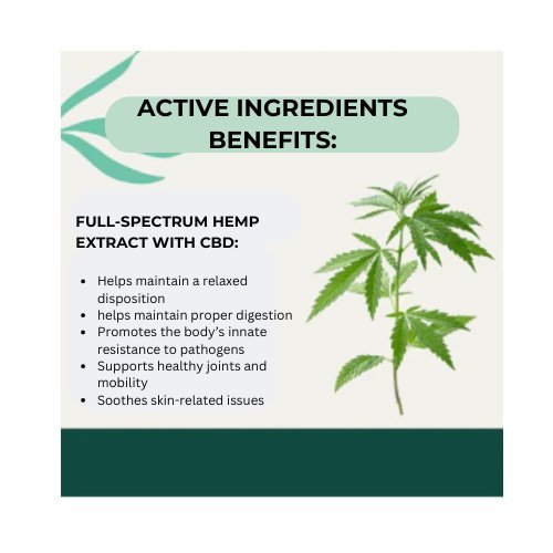 Ingredients Graphic Hip & Joint Releaf for Aging Dogs - Organic Hemp Chews FAMILY SIZE BAG ($44.99) - The Squeaky Toy
