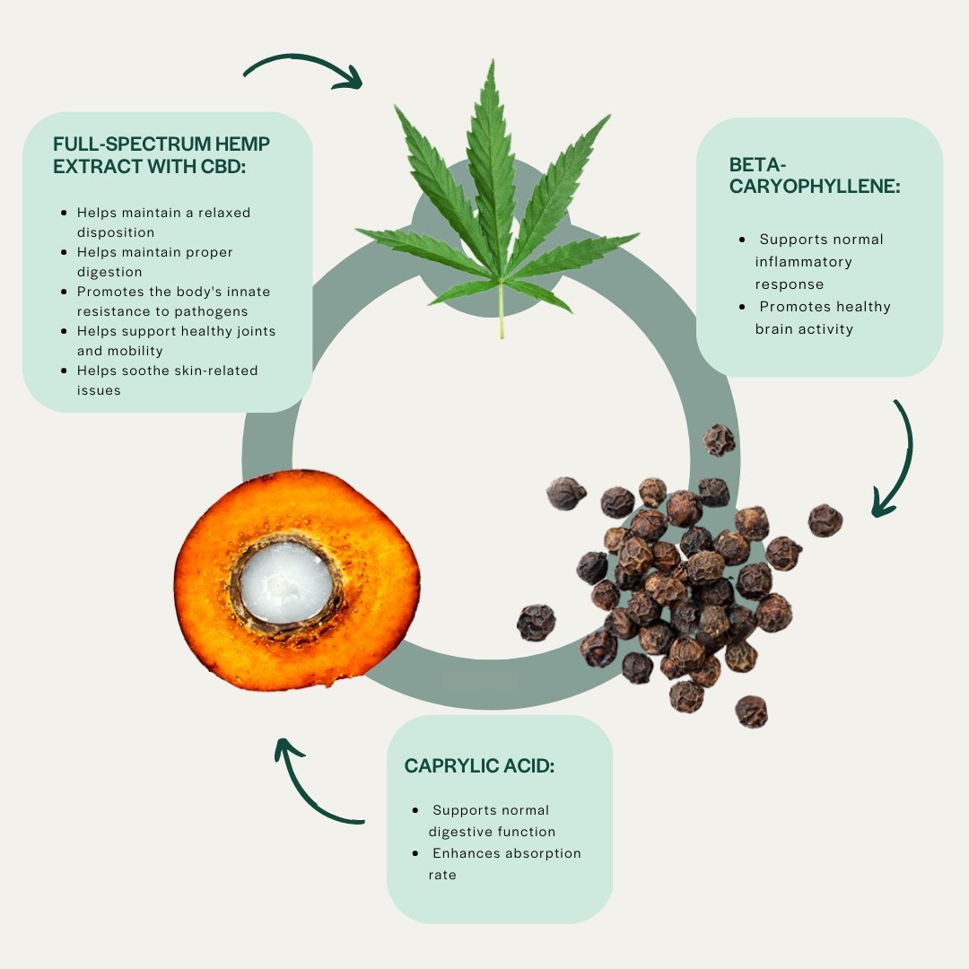 Ingredients Graphic Maximum Strength - Tri - Active Capsules for Medium/Large Aging Dogs - The Squeaky Toy