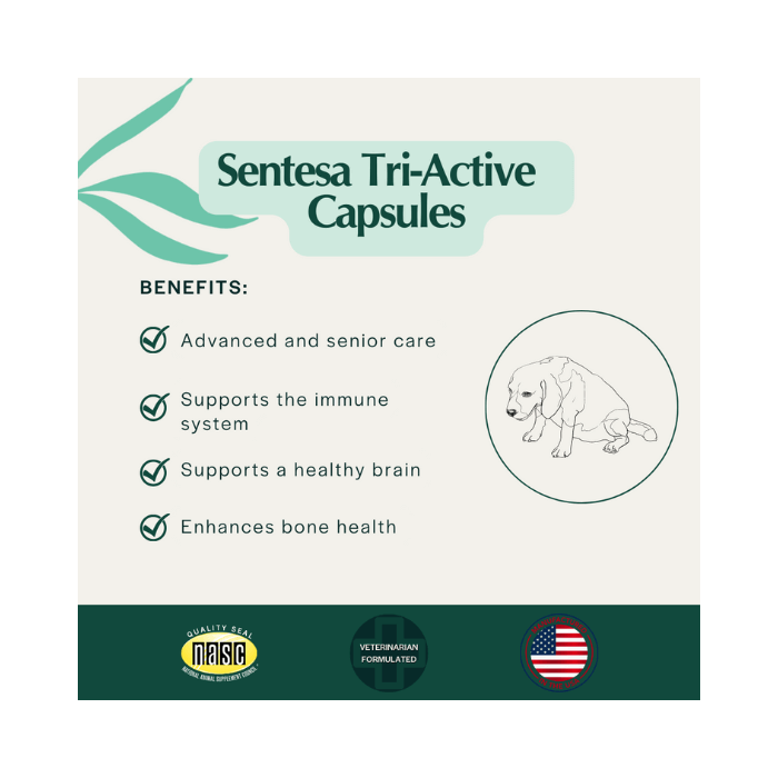 Ingredients Graphic Maximum Strength - Tri - Active Capsules for Medium/Large Aging Dogs - The Squeaky Toy