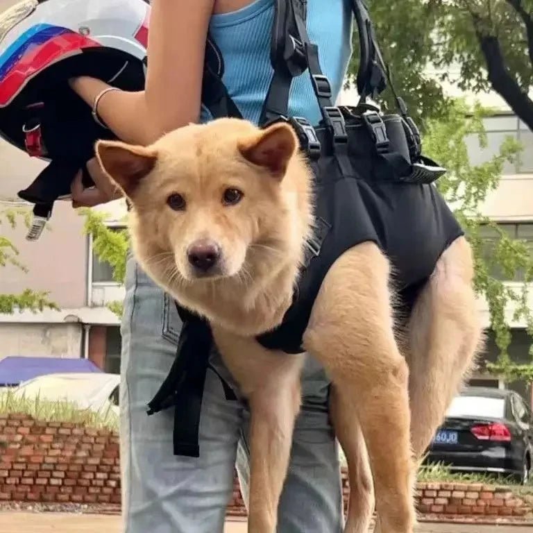 Outdoor Backpack Carrier Full Body Dog Sling with Handle Dog Lift Harnesses for Puppy Elderly Disabled Dog - The Squeaky Toy
