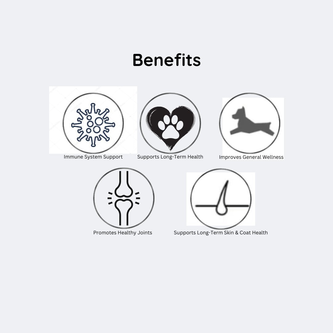 graphic Optimal Canine Health: Postbiotic Supplement for Dogs - The Squeaky Toy