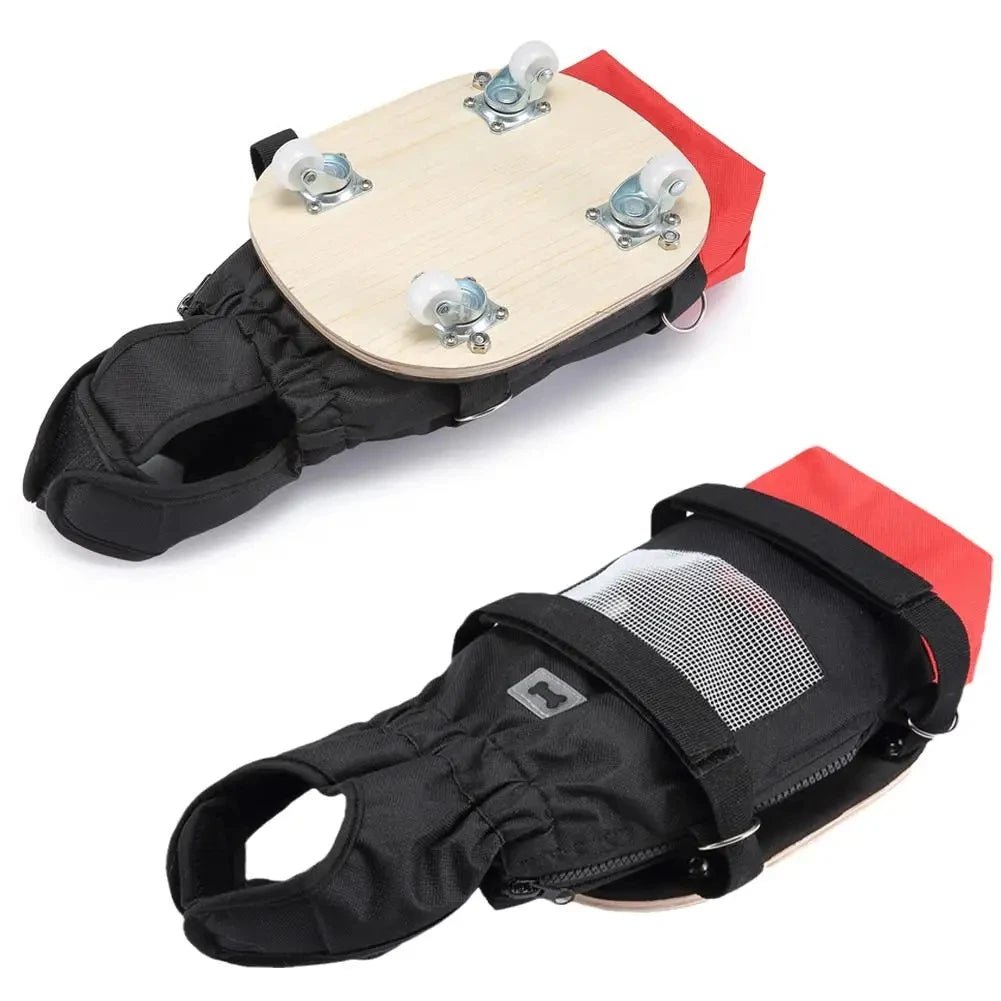 Pet Walking Scooter – Mobility Aid for Paralyzed Dogs & Cats, Comfortable Chest & Limb Support, Durable Nylon, Lightweight & Easy to Use - The Squeaky Toy