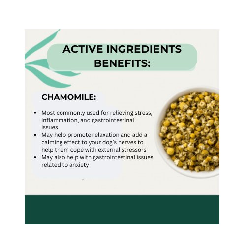 Graphic Stress Releaf Hemp Extract Edibites For All Dogs - Travel Size - The Squeaky Toy