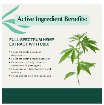 Graphic USDA Organic Hip & Joint Releaf 600mg Full Spectrum Hemp Oil For Medium & Large Dogs - The Squeaky Toy