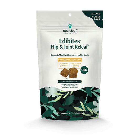 Joint Supplements for Senior Dogs
