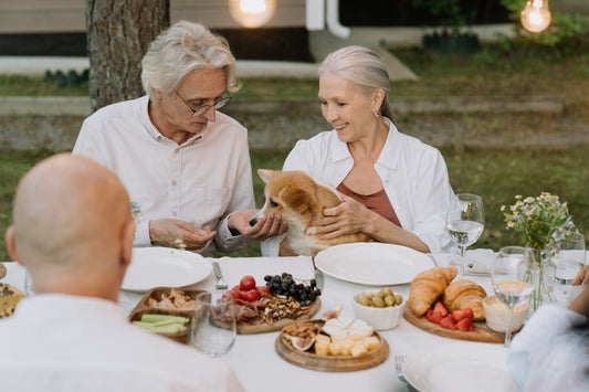 Foods You Should Never Feed Your Dog: A Comprehensive Guide - The Squeaky Toy