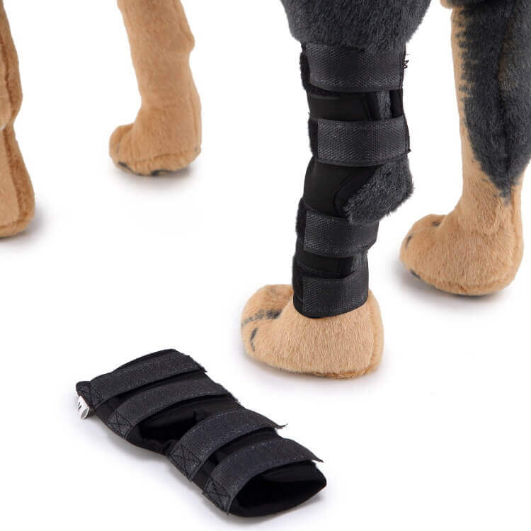 Knee Support Product