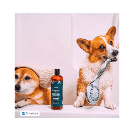 2 - in - 1 Hemp Shampoo and Conditioner For Dogs - The Squeaky Toy