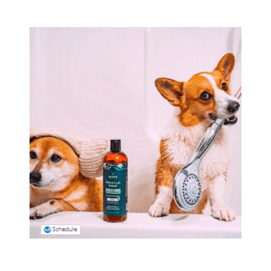 2-in-1 CBD Shampoo and Conditioner For Dogs