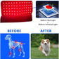 60 LEDs Red＆Infrared Light Therapy Belt 850nm 660nm Healing Heat Pad Full Body - The Squeaky Toy