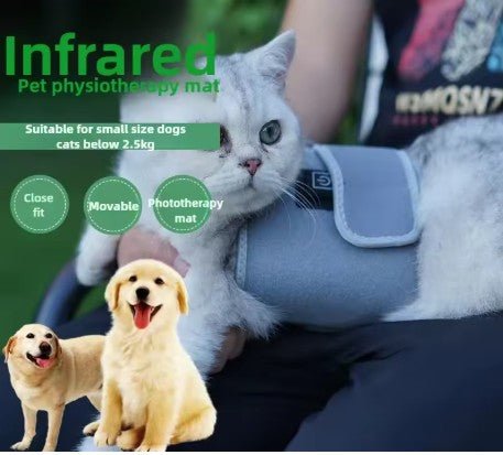 60 LEDs Red＆Infrared Light Therapy Belt 850nm 660nm Healing Heat Pad Full Body - The Squeaky Toy