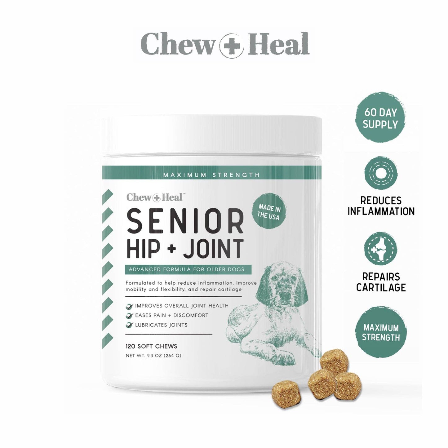 Senior Hip and Joint