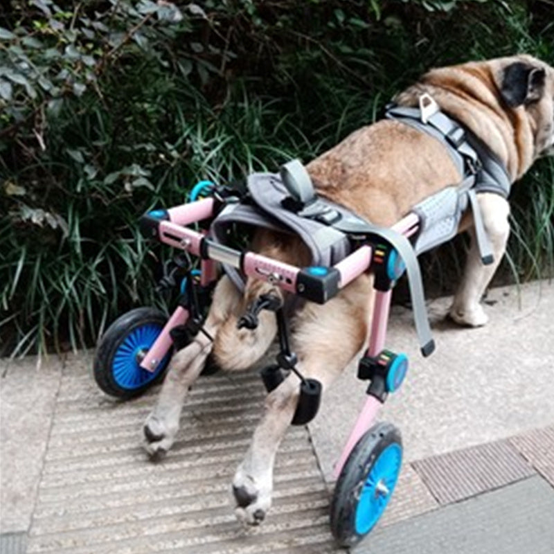 Dog Wheelchair - for Small Dogs