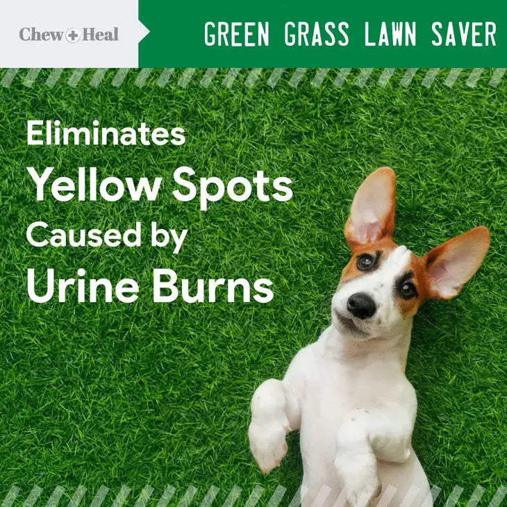 Chew+Heal Green Grass Lawn Saver Eliminates Yellow Spots caused by Urine Burns