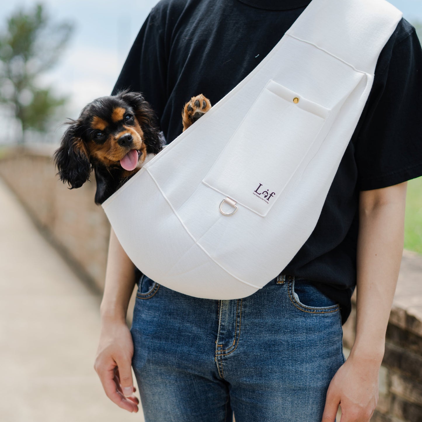 Buy Pet Sling Carrier For Small Dogs