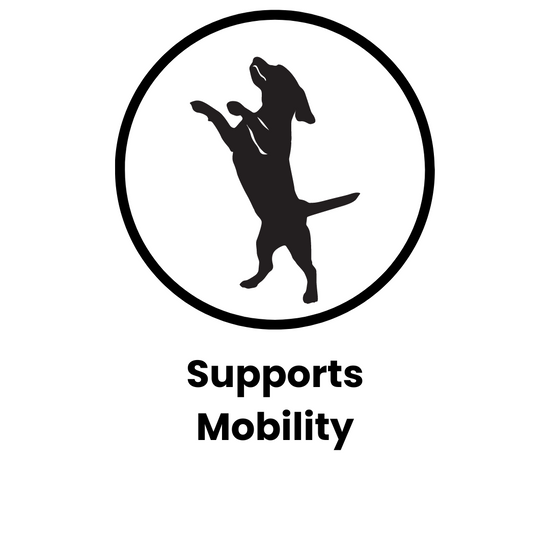 jumping dog icon