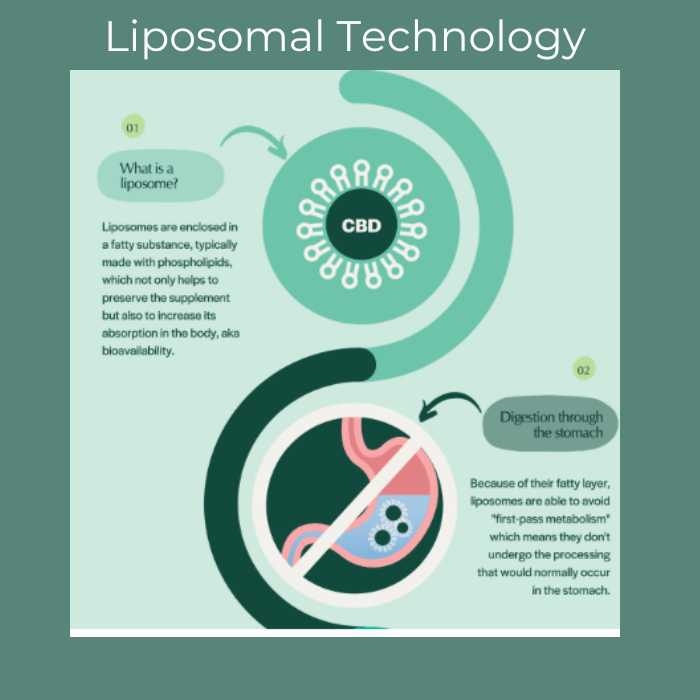 What is the Importance of Liposomal Technology