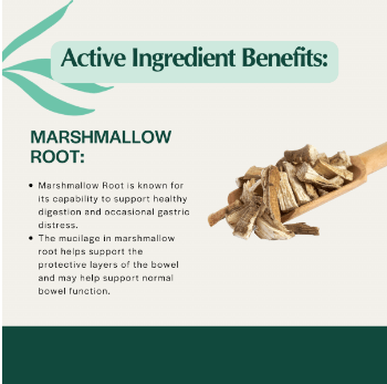 What are the Active Ingredient Benefits