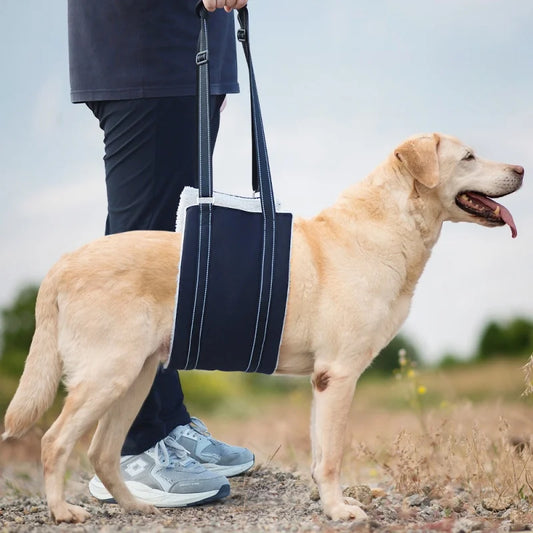 Hip Support Sling for Dogs