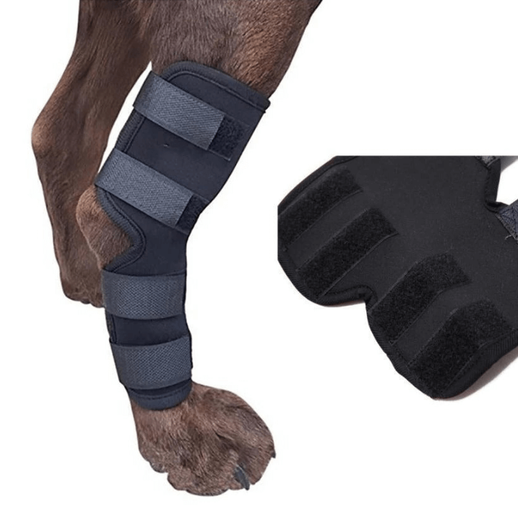 Leg Support for Dogs