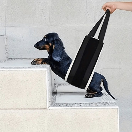 Hip Support Sling for Dogs