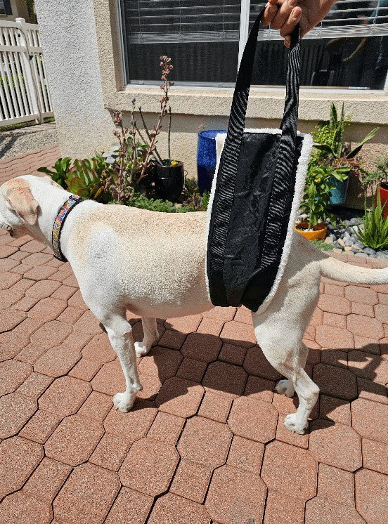 Hip Support Sling for Dogs