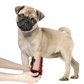 LED Light Therapy Wrap for Dogs