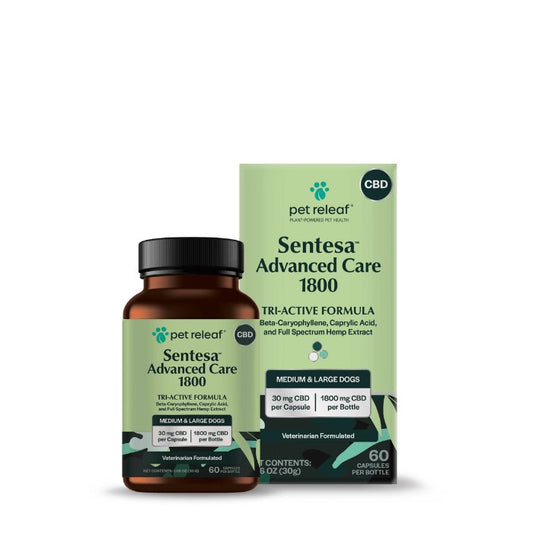 Buy Sentesa Advanced Care 1800