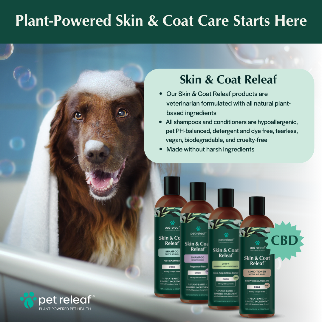 2-in-1 CBD Shampoo and Conditioner For Dogs