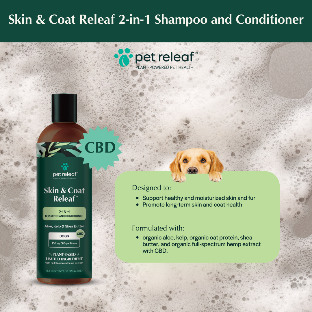 2-in-1 CBD Shampoo and Conditioner For Dogs