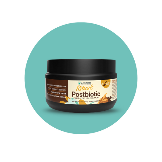 Optimal Canine Health: Postbiotic Supplement for Dogs
