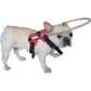 Adjustable Halo Harness For Blind Dogs - The Squeaky Toy