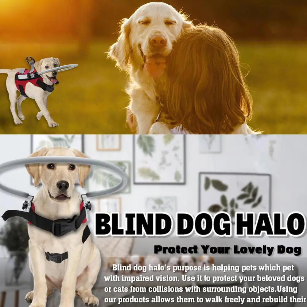 Adjustable Halo Harness For Blind Dogs - The Squeaky Toy