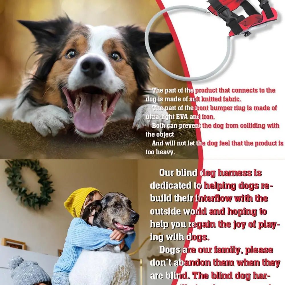 Adjustable Halo Harness For Blind Dogs - The Squeaky Toy