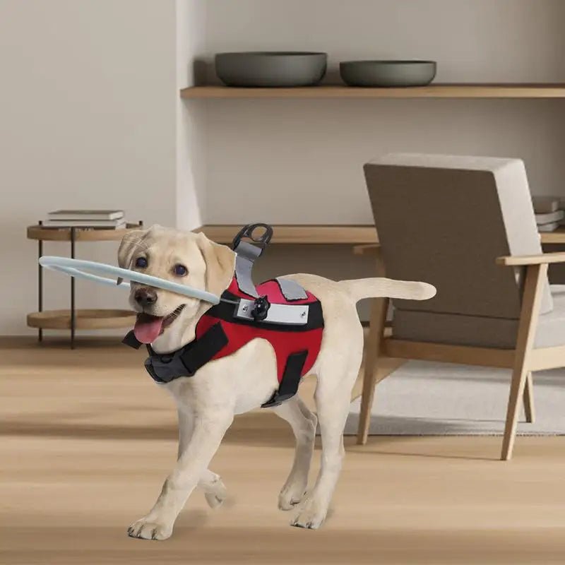 Adjustable Halo Harness For Blind Dogs - The Squeaky Toy