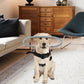 Adjustable Halo Harness For Blind Dogs - The Squeaky Toy