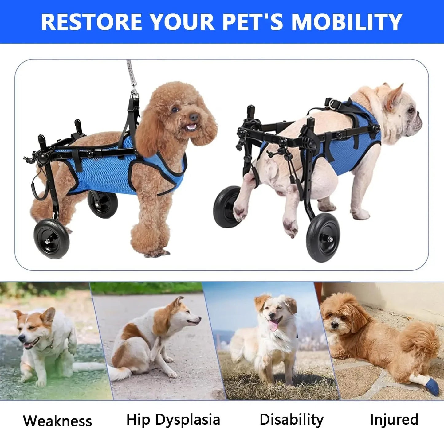 Adjustable Pet Walk Booster Walking Wheels Durable Pet Hind Legs Bracket Blue Pet Walk Tool Cat Recovery Aid Car Disability Dog - The Squeaky Toy