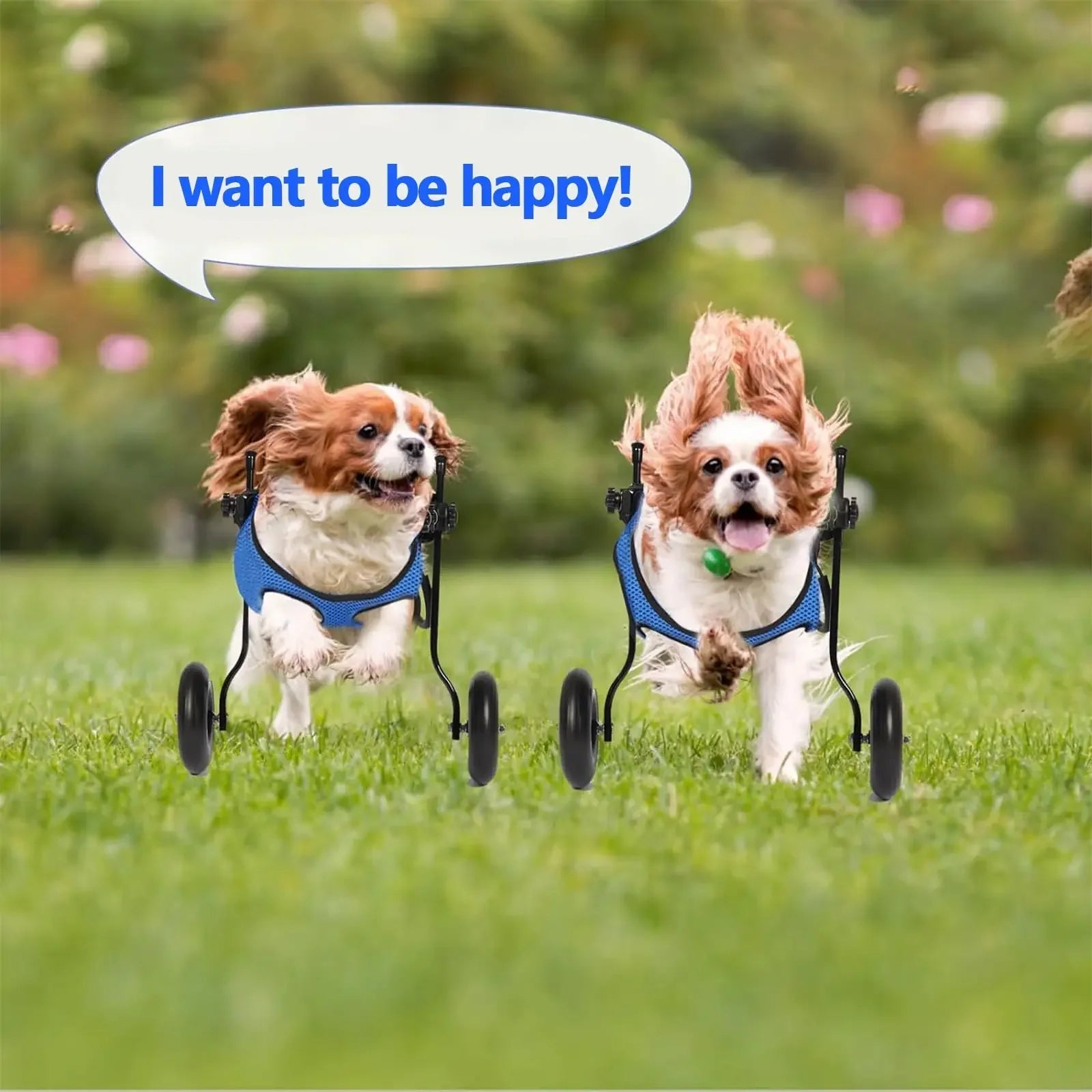 Adjustable Pet Walk Booster Walking Wheels Durable Pet Hind Legs Bracket Blue Pet Walk Tool Cat Recovery Aid Car Disability Dog - The Squeaky Toy