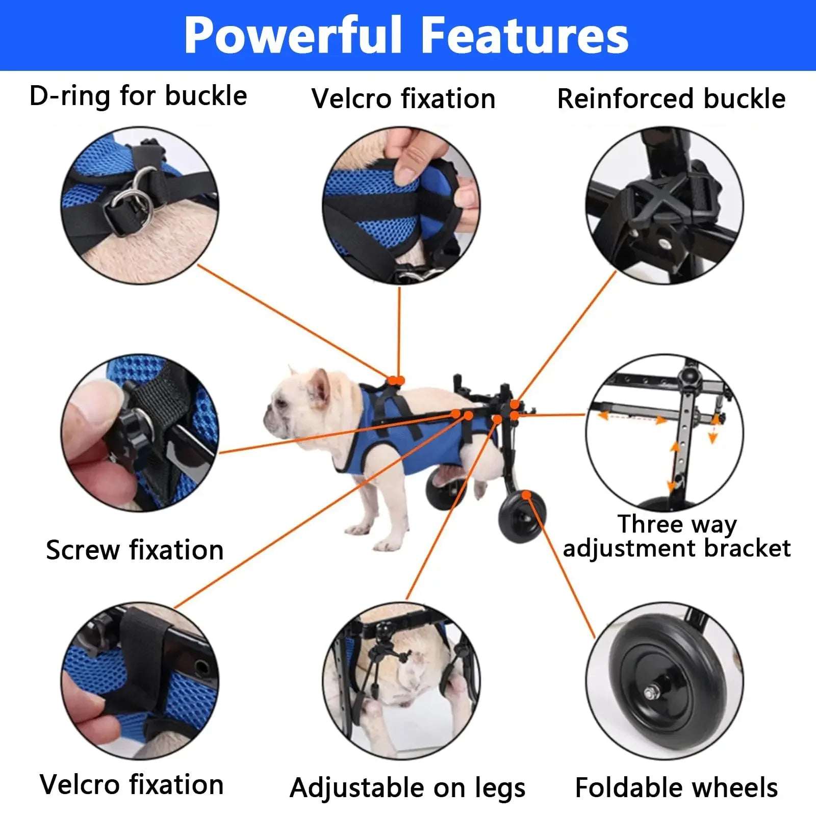 Adjustable Pet Walk Booster Walking Wheels Durable Pet Hind Legs Bracket Blue Pet Walk Tool Cat Recovery Aid Car Disability Dog - The Squeaky Toy