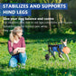 Adjustable Pet Walk Booster Walking Wheels Durable Pet Hind Legs Bracket Blue Pet Walk Tool Cat Recovery Aid Car Disability Dog - The Squeaky Toy